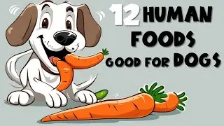 12 Human foods that are good for dogs