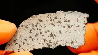 PolandMET Meteorite TARKINT 001 (4.03 gram)