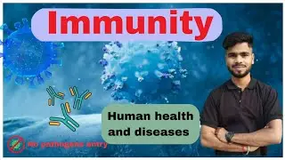 |👉 Immune System Explained | Human Health & Disease | NEET Biology