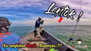KERAPU SESAT vs TALANG SEWEL | TRIP FAST & SLOW JIGGING | BraderZone BZ