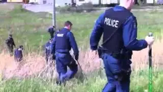 Searching for Tim Bosma
