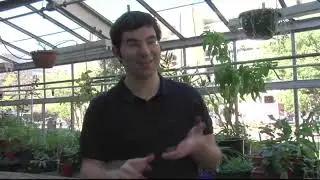 Community Garden Documentary January