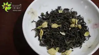 2025 jasmine tea houtu tea