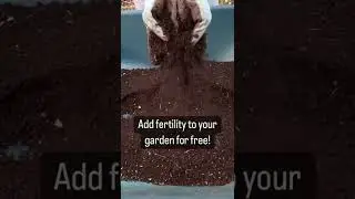 Create compost in a small space! 👩🏻&zwj;🌾Set up a worm farm #shorts #garden #vermicompost #composting