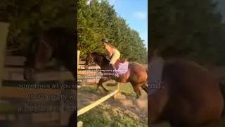 🩷🩷🩷@Ellie.theequestrian 
