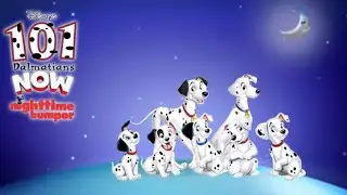 Disney Junior bumper [Nighttime] 101 Dalmatians &bull;Now&bull;