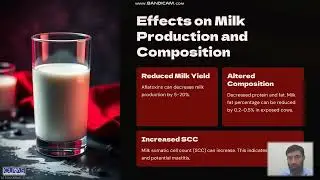 Aflatoxins Prevalence and Economic Impact in Dairy Animals by Dr  Uzair Akhtar, Assistant Professor