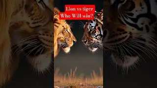Lion vs Tiger- Who will Win The Ultimate Beast Battle?#tiger #lion #shorts