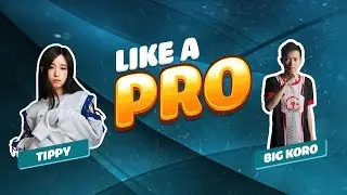BIGKORO bổ t&uacute;c TIPPY: 