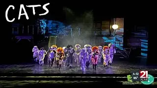 In the Arts: &lsquo;CATS&rsquo;