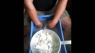 Pelando chipirones ,version turbo