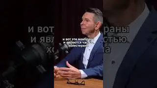 Холестерин   это молекула жизни #врач-невролог #вячеславананенко #холестерин #здоровье #подкаст