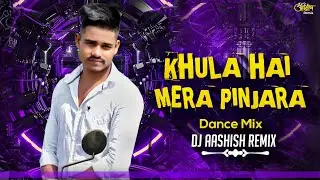 Khula Hai Mera Pinjara || Bollywood Song || Dance Mix || Old Is Gold || Dj Aashish Remix 2026***