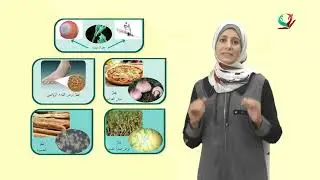 العلوم والحياة 6 - فصل 1 | أثر الكائنات الحية الدقيقة 