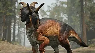 The Life Of A Solo Albertaceratops