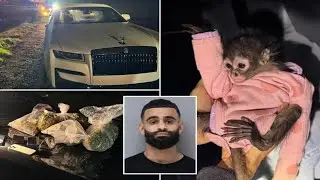 California DUI suspect busted in Rolls Royce with baby monkey wearing a onesie sitting in front seat