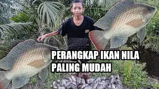 BUBU KAWAT ATAU PERANGKAP IKAN PALING CEPAT DAPAT IKAN NILA
