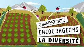 Comment nous encourageons la biodiversit&eacute;