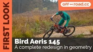 Первый взгляд &mdash; Bird Aeris 145