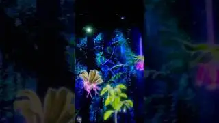 Digital forest - where nature meets pixels. #wgitachi #singapore #cloudforest #travel #travelshorts