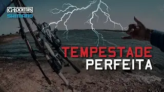 Manhã de pesca no Litoral Alentejano com condições ÉPICAS de pesca! (BIG STORM)