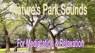 Nature's Park Sounds For Meditation & Relaxation