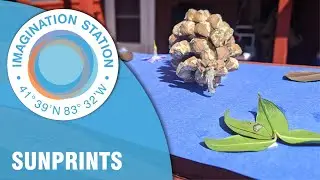 Солнечные отпечатки