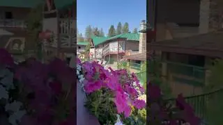Exploring Abbycreek Inn: A Cozy Retreat in Winthrop, North Cascades #shorts #ytshorts #viralshorts