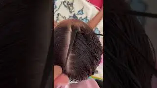 Tutorial de tran&ccedil;a raiz #tutorialdetran&ccedil;a