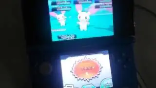 A SHINY IN ONE ENCOUNTER! And Update!