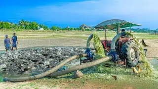 Catching Lake fish using Tractor water motor pump | Village fish curry cooking