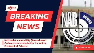 National Accountability (Amendment) Ordinance, 2023 | FMB Network