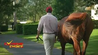 Extreme Choice 2024 Stallion Parade