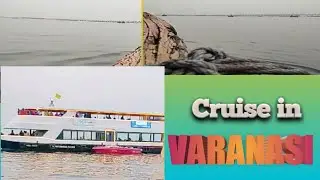 Luxury Cruise in Varanasi #shorts