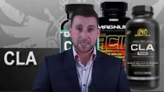 CLA Safflower Oil - CLA Safflower Oil Weight Loss Reviews Dr OZ