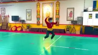 Shaolin Luohanquan