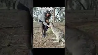 A day at Kyabram Fauna Park, Victoria, Melbourne. Australia.