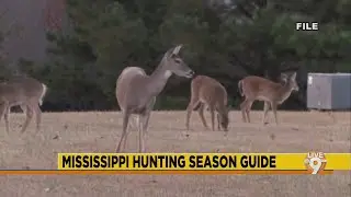 Mississippi Hunting Season Guide
