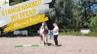 Pferdeausbildung: Stangenarbeit mit Pferd - alles mit Ruhe