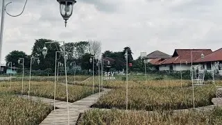 #3DVLOG 1 Hari praktikum ke BPRI Subang 😝