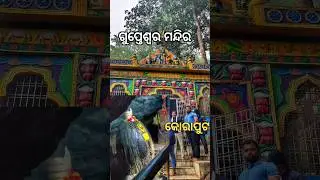 SHREE GUPTESWAR TEMPLE 🛕 KORAPUT #shorts #mahadev #gupteswar #koraput #odisha #travel #nature