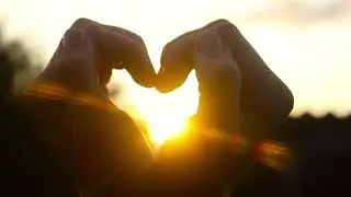 Shape of My Heart - Keith Madison Miller
