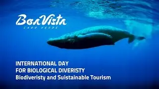 Boa Vista Cabo Verde - Biodiversity International Day 2017