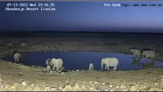okaukue elephant video0001