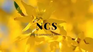 NCS: Feels Like Summer Mix | NCS - Copyright Free Music ncs source #copyrightfreemusic #music