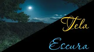Som de animais noturnos - Na Floresta durante a noite - Tela Escura para relaxar - Bichos Noturnos
