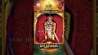 సూర్యప్రభ వాహనం ||  రధసప్తమి ||  తిరుమల || 25-01-2026 || SVBC TTD