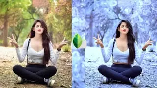 Snapseed winter photo editing||Snapseed photo editing trick/trips||Winter snowfall Best photo edit