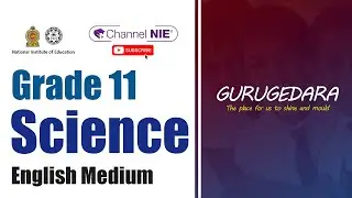 Grade 11 - Science (English Medium)