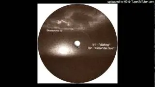 Hardcell - Greet the sun (SKUNK12 B2)